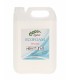 ECOFOAM Foam acid detergent-Laures.