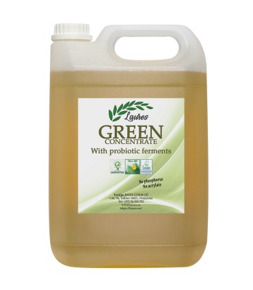GREEN Concentrate green soap with ptobiotic ferments-Laures.