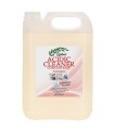 ACIDIC CLEANER Antistaatiline happeline puhastusaine